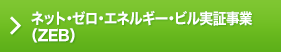 �l�b�g�E�[���E�G�l���M�[�E�r�����؎���